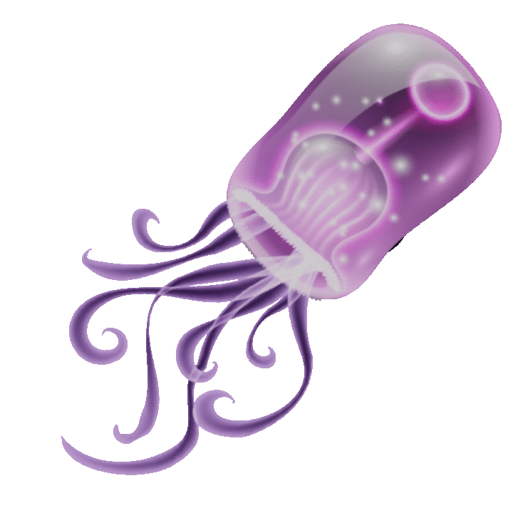 Jelly